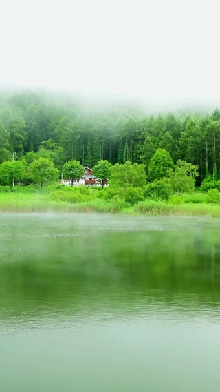 4k朝霧中牧湖