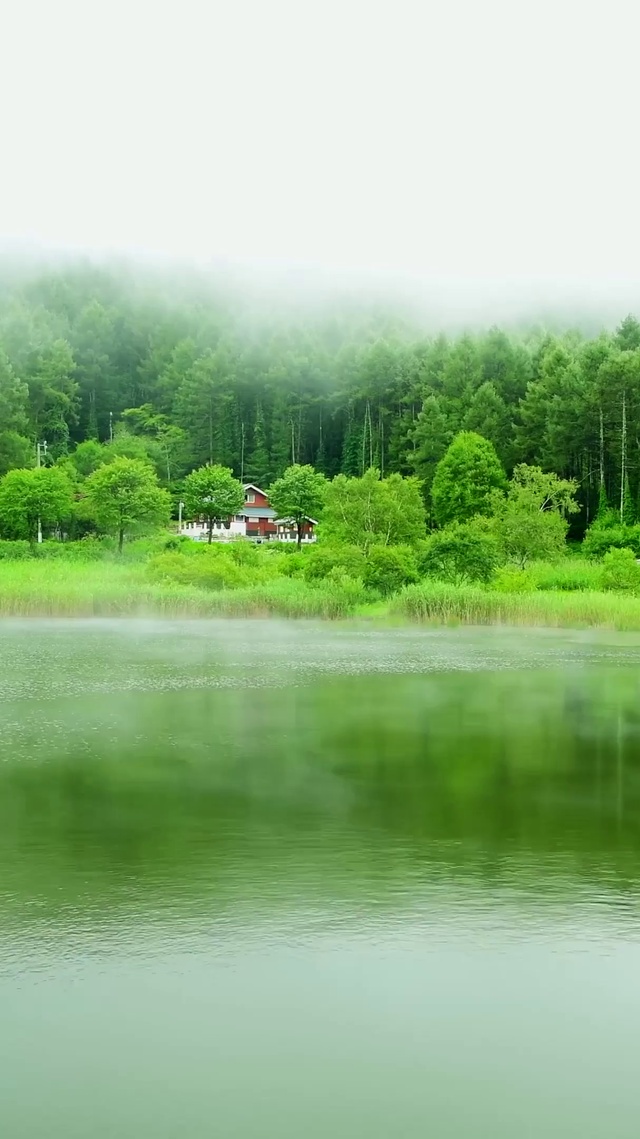 4k朝霧中牧湖