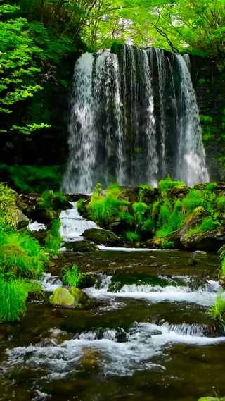 夏日绿林山涧瀑布