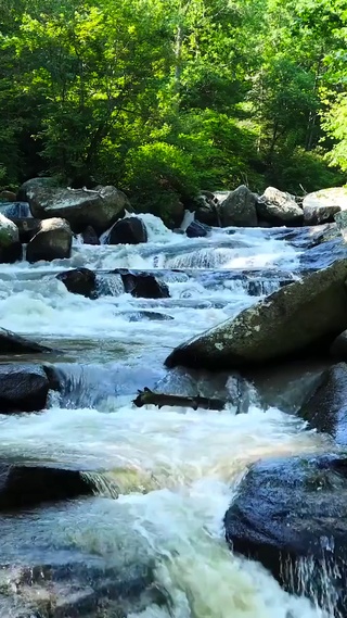 山水