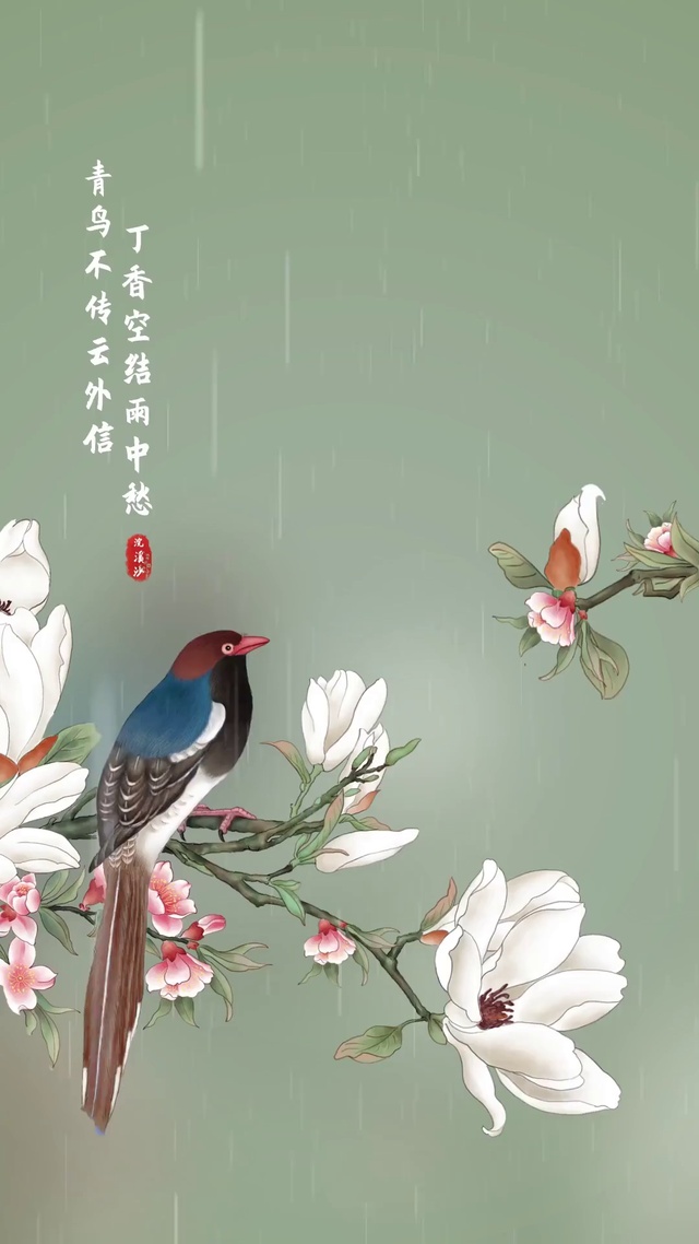 青鸟不传云外信