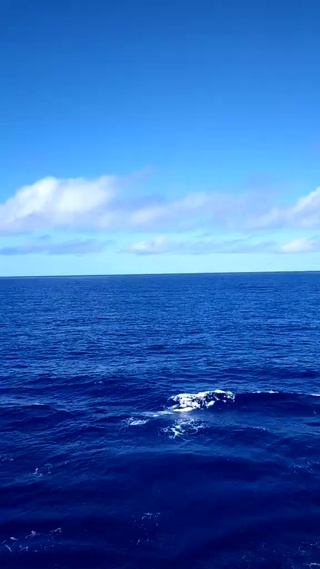 大海
