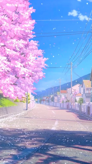 公路樱花