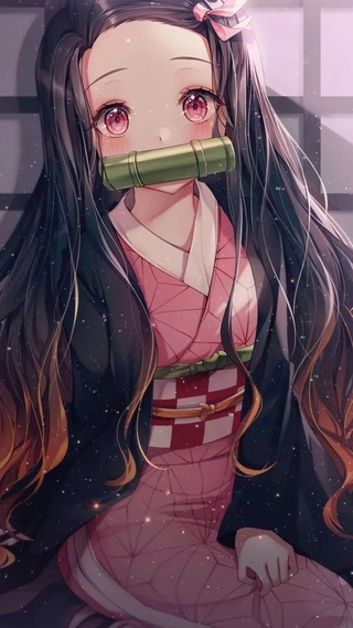 祢豆子