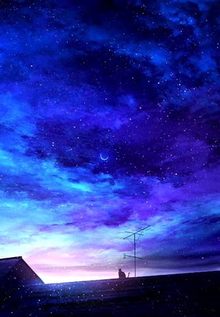 猫与夜晚（画质不好因为没找到4k的）