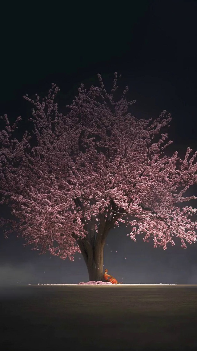 樱花树