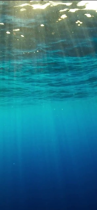 海底阳光