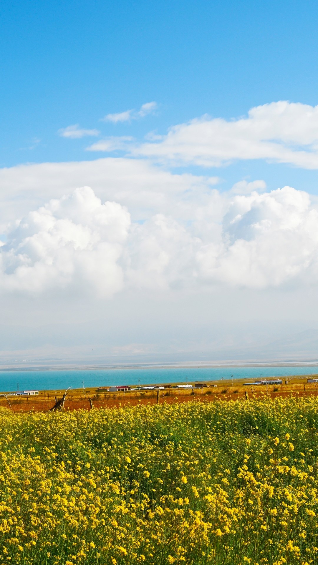 唯美,藍天白雲,自然景觀,花草樹木