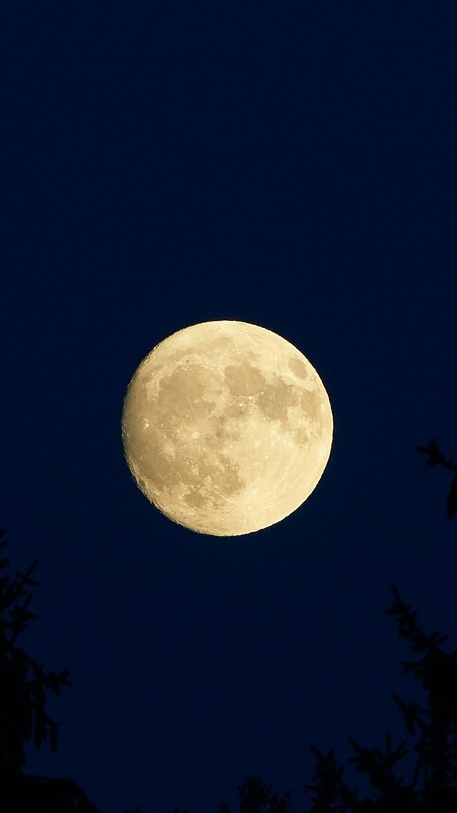 微信背景壁紙夜晚 月亮壁紙