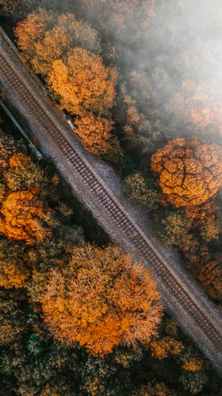 花草树木,公路