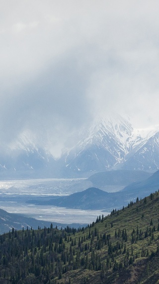 雾,雪山,森林