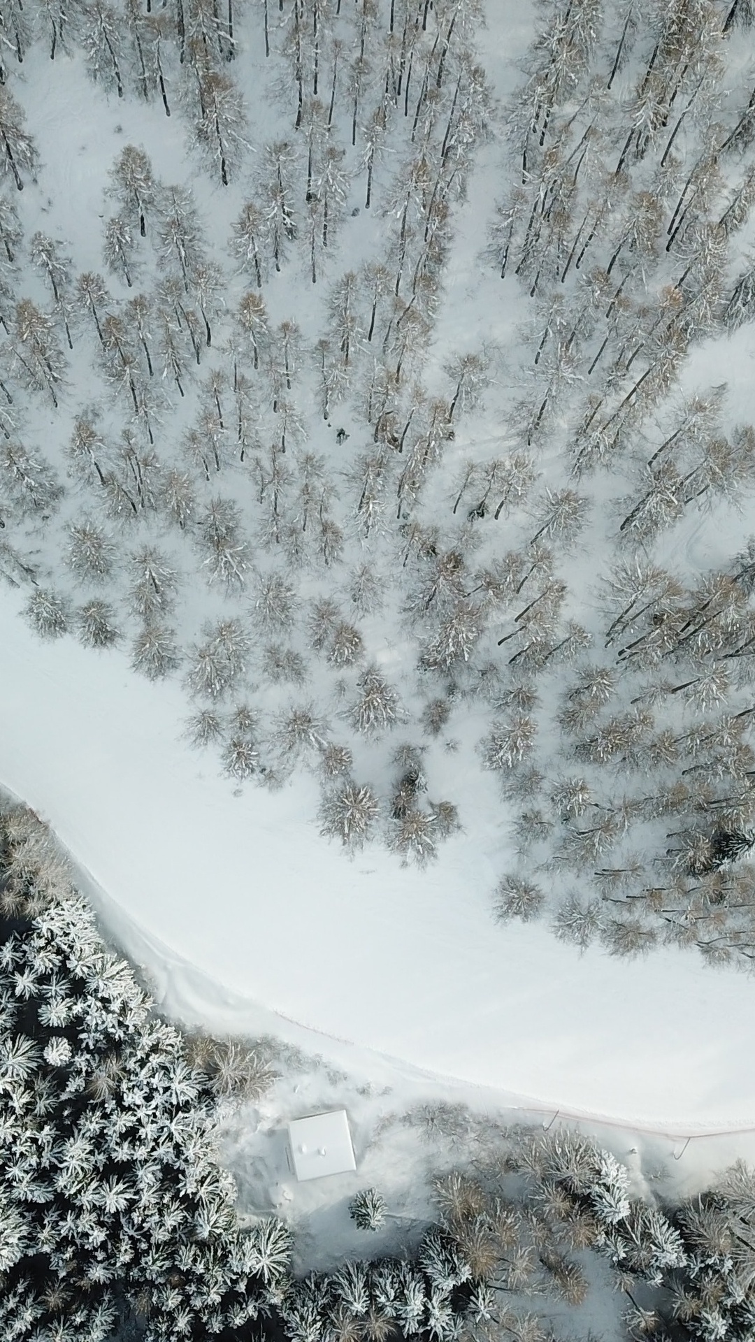 微信運動背景圖片冬天 雪壁紙【21】