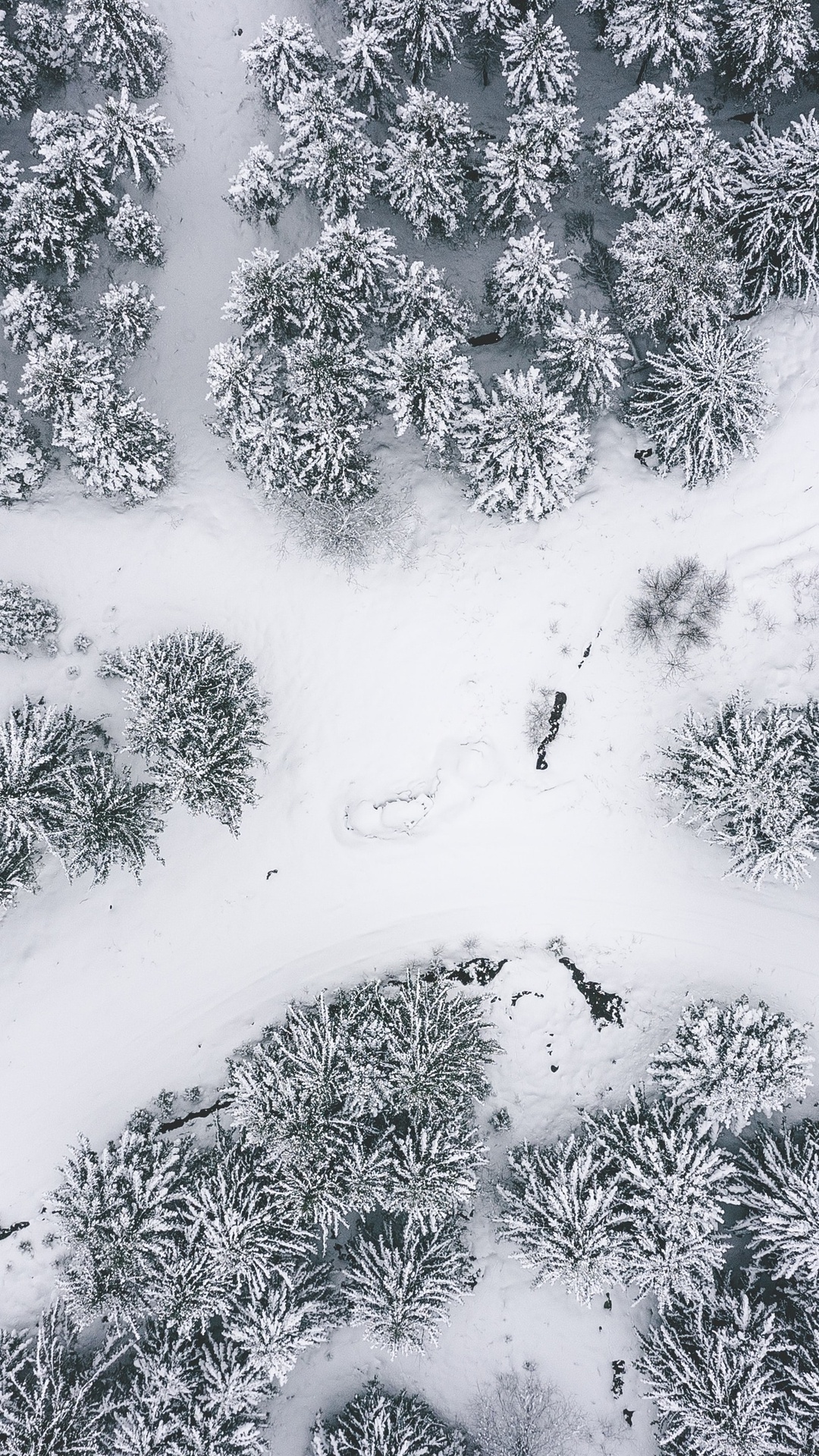 微信8.0動態背景冬天 雪壁紙【17】