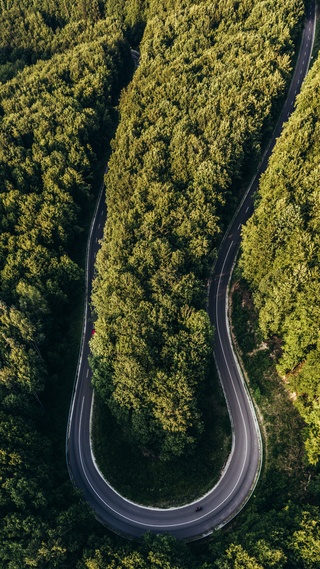 花草树木,公路微信背景头像