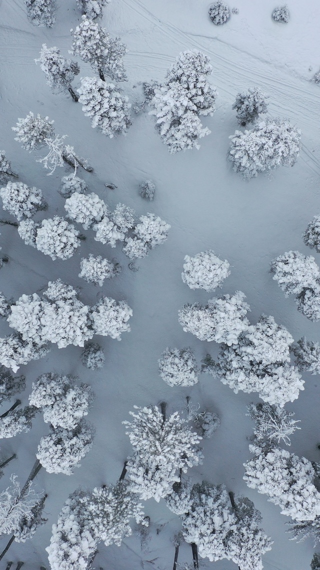 微信聊天背景墙壁纸冬天 雪壁纸【1】