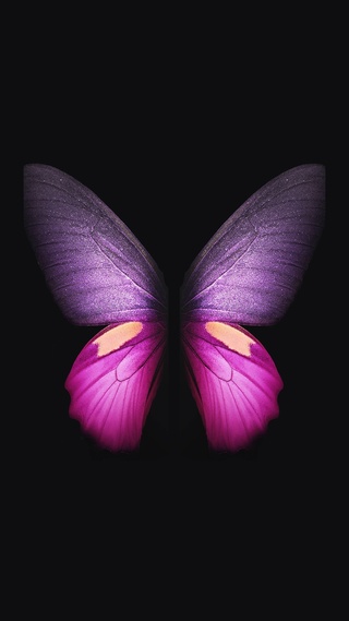 微信图片背景三星Galaxy Fold Butterfly 蝴蝶 唯美艺术4K壁纸壁纸