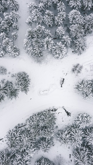 微信8.0动态背景冬天 雪壁纸【17】