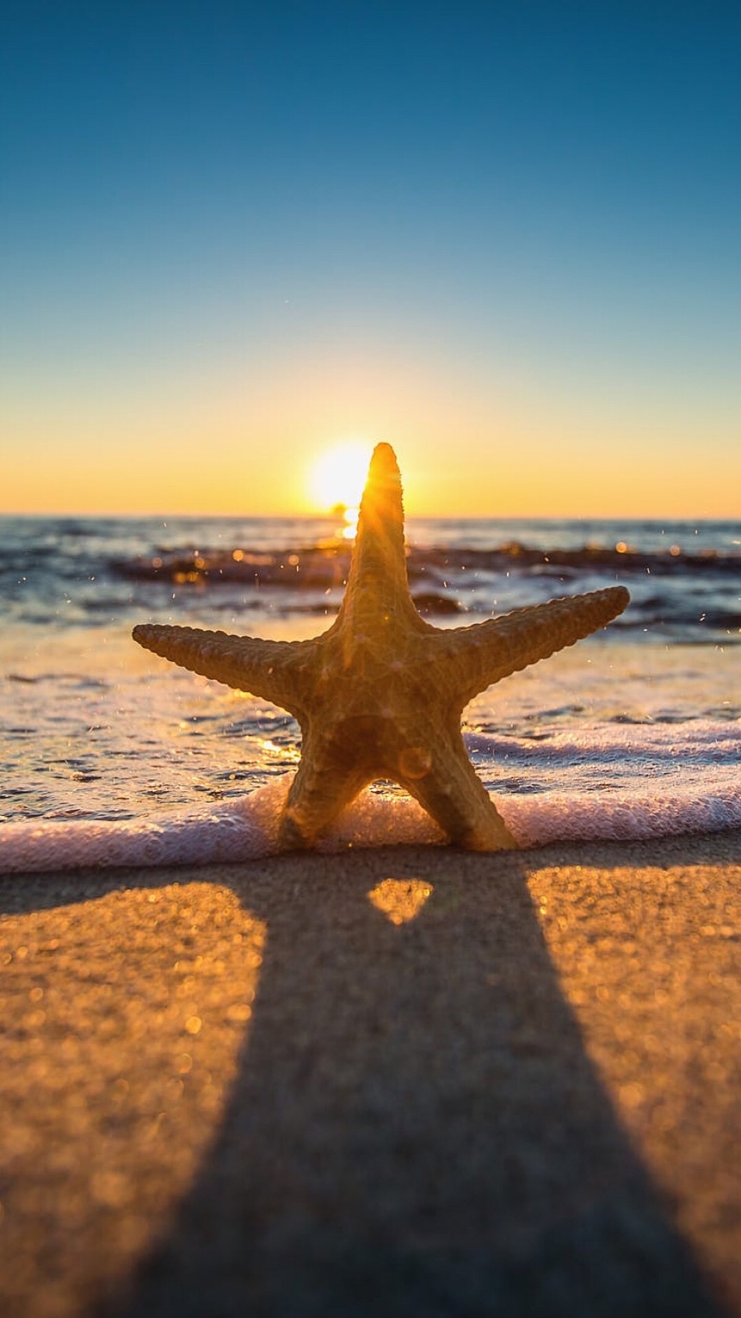 微信头像壁纸海星,夕阳,唯美