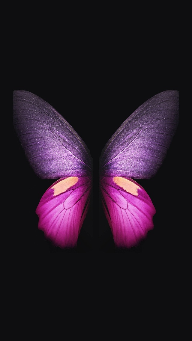 微信图片背景三星Galaxy Fold Butterfly 蝴蝶 唯美艺术4K壁纸壁纸