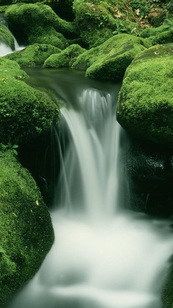 微信壁纸风景 自然景观 青苔 溪流 风景大片壁纸