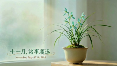 超治愈寒兰盆栽