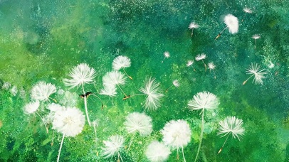 护眼绿景蒲公英