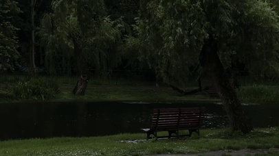 雨天公园湖边