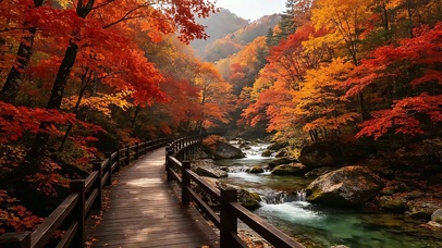 秋日红叶山谷