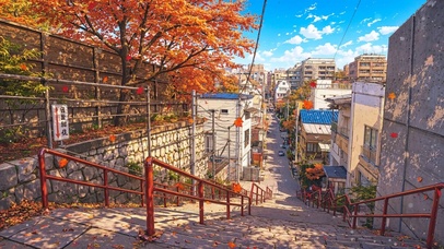 城市街道秋景