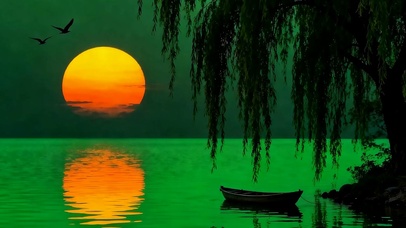 夕阳柳树