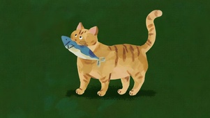 猫 吃 鱼