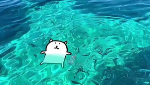 自嘲熊