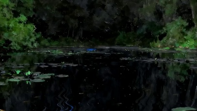护眼鱼群带鱼屏