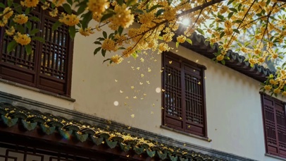 桂花落