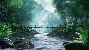 雨雾林间溪流治愈风景