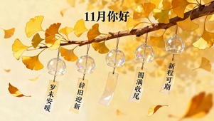 11月你好