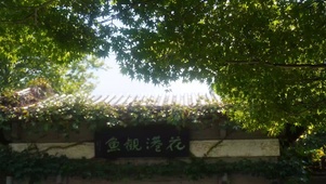 夏日蝉鸣