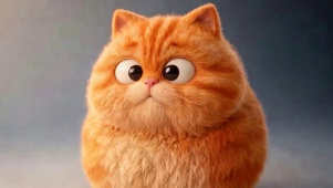 猫咪