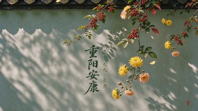 重阳安康