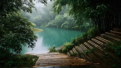 雨天竹林