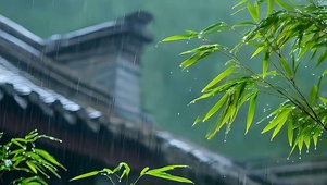 古风竹林雨天带鱼屏