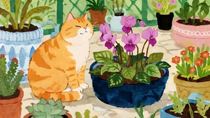 猫咪