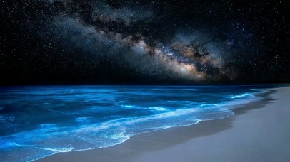 星海