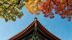 古建飞檐与彩枫