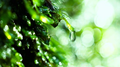 护眼清新水滴