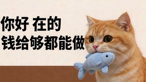 有钱好商量 小猫营业