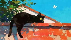 翻墙猫咪