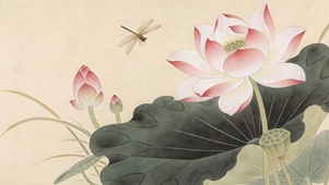 护眼小清新荷花