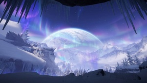 雪松林