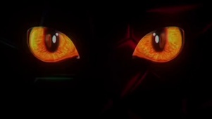 猫-眼 4k